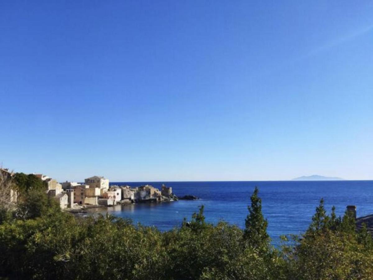 Beau T2 Au Calme à Deux Pas Du Port D'erbalunga Appartement Erbalunga (Corsica)